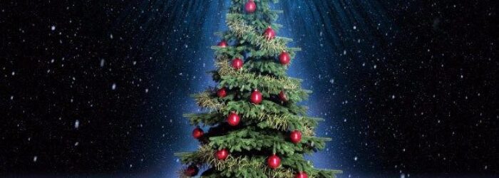 Rozsvícení vánočního stromu Štítina